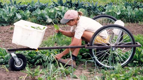   (Jenny Bonde)         The Healthy Farmers    ( The Healthy Farmers, Healthy Profits Project).