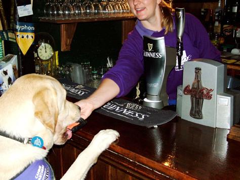    ,     Guinness (   caninepartners.co.uk).