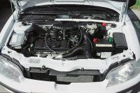 - Daewoo Nexia, Daewoo Tico, Fiat Uno, Peugeot 106,  2109,  2110, Skoda Felicia ( ,  ,  ,  106,  ).     