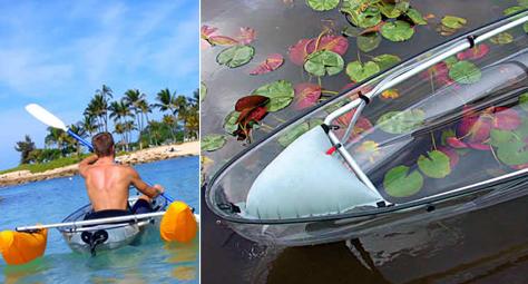 :         Molokini.            . :  ,   ,      ,        ( Clear Blue Hawaii).