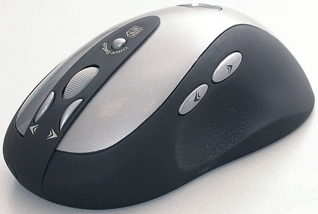 mouse