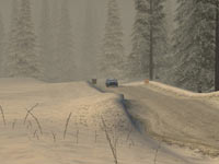 Colin McRae Rally 04