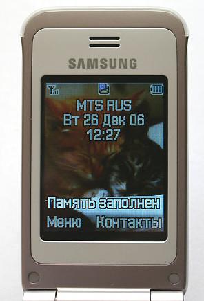 Samsung SGH-E420