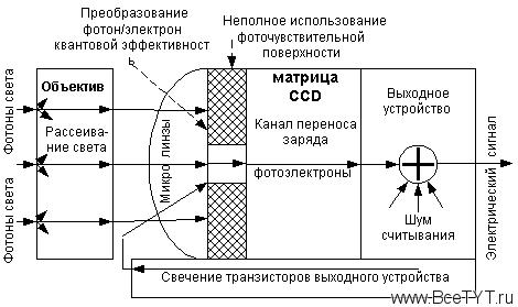  3.          CCD.