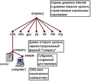 DNS   