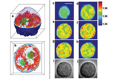     ,    ,      .     .     ,       ,      ( Michael Feld laboratory, MIT).