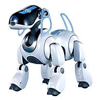   Aibo ERS-7    ,     .   ( sonystyle.com).