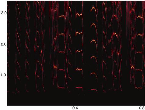        (Taeniopygia guttata).       ,      .   ,      (   pnas.org).