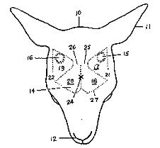   ,    (   patent.freeserve.co.uk).