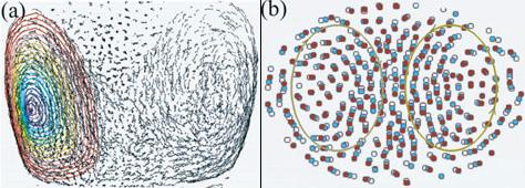  ,        ,     . (a)  ,       , (b)  ,      .  ,                     ,   ( Tsytovich V.N. et al.).