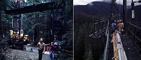  Wind River Canopy Crane   (   depts.washington.edu).