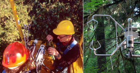   Wind River Canopy Crane    (   depts.washington.edu).