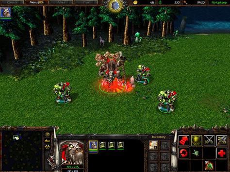  Warcraft III      .  ,  (   blizzard.com).