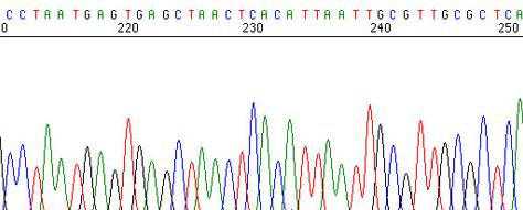           .  , ,       —  (   sci.sdsu.edu).