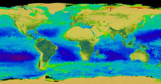      SeaWiFS.             ()    ().   ,                ( SeaWiFS Project, NASA/Goddard Space Flight Center, ORBIMAGE).